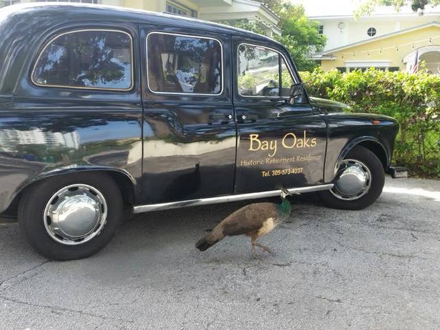 BAY OAKS HISTORIC RETIREMENT RESIDENCE INC